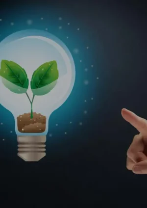 educacion-ecologia-digital