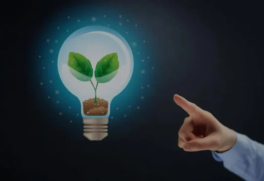 educacion-ecologia-digital